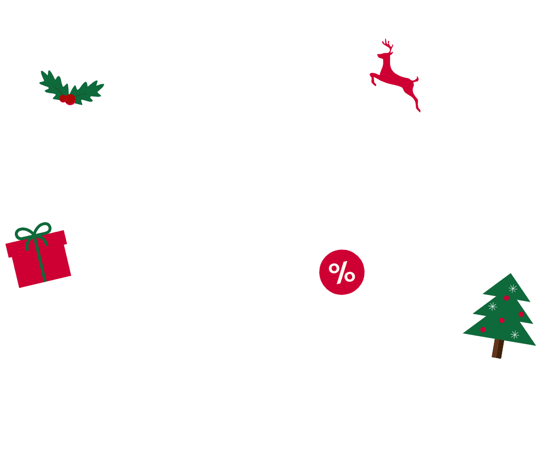 xmas-2025-annual-sale